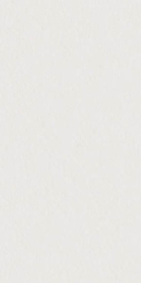 Керамогранит SUPERCLASSICA SCW Flamed (4101023) 60x120 от 41ZERO42 (Италия) в Москве