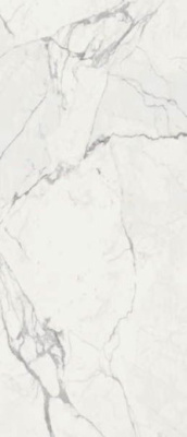 Керамогранит Maiora Marble Effect Statuario Glossy Rett (R6RN) 120x240 от Ragno (Италия) в Москве