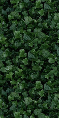 Керамогранит PAPER41 PRO Jane E (4100155) 50x100 от 41ZERO42 (Италия) в Москве