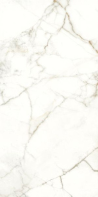 Керамогранит RHAPSODY EMOTION RHAPS.NAT/RETT(120124) 60x120 от Naxos Ceramica (Италия) в Москве