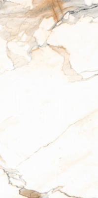 Керамогранит 12161 Carving 60x120 от Maimoon Ceramica (Индия) в Москве