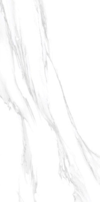 Керамогранит Statuario Silver Matt (60120GP42STA00) 60x120x8 от Delacora (Россия) в Москве