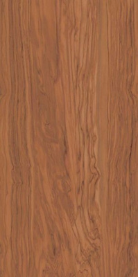 Керамогранит Олива SG565300R коричневый обрезной 60x119.5 от Kerama Marazzi (Россия) в Москве
