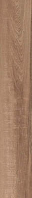 Керамогранит MAPLE Wood Matt 20x120 от ITC (Индия) в Москве