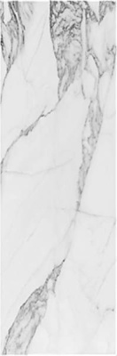 Настенная плитка Altissimo White 25x75 от Argenta (Испания) в Москве
