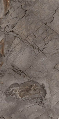 Керамогранит COMPLETO FULL LAP EXPORT (6.5mm) 60x120 от QUA (Турция) в Москве