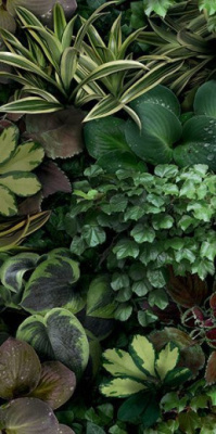 Керамогранит PAPER41 PRO Jane C (4100153) 50x100 от 41ZERO42 (Италия) в Москве