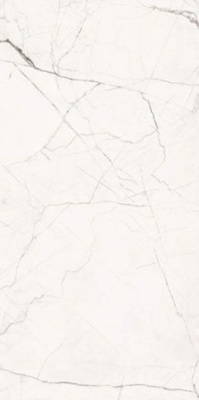 Керамогранит THE ROOM STATUARIO VENA PICCOLA Ret. (Sta VP6 12RM) 60x120 от Imola Ceramica (Италия) в Москве