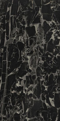 Керамогранит PANTHER BLACK 60x120 от TAU Ceramica (Испания) в Москве