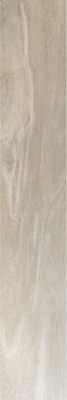 Керамогранит Rainier Arena 20x120 от Pamesa (Испания) в Москве