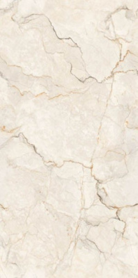 Керамогранит Infinity Bottochino Lamos 60x120 от Ocean Ceramic (Индия) в Москве