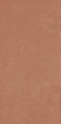 Керамогранит Argillae Coral Rect 120 60x120 от APE Ceramica (Испания) в Москве