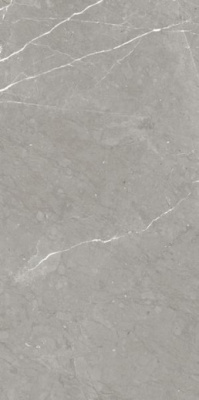 Керамогранит RHAPSODY ALLURE RHAPS.LEV/RETT.(117438) 60x120 от Naxos Ceramica (Италия) в Москве