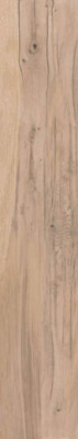 Керамогранит DOLPHIN CLAY RETT.R9 20x120 от ABK Ceramiche (Италия) в Москве
