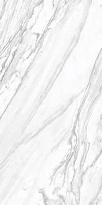 Керамогранит Statuary Venato (D12065M) 120x60x9.5 от Delacora (Россия) в Москве