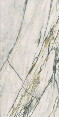 Керамогранит EPOQUE 21 CALACATTA BAMBOO ANT R (PF60009344) 60x120 от Ariana (Италия) в Москве