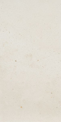Керамогранит I COCCHI CALCE nat 60x120 от Fioranese Ceramica (Италия) в Москве