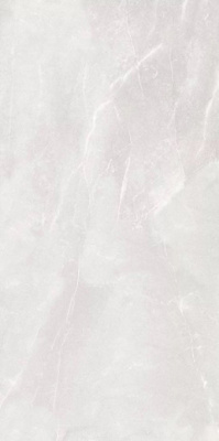 Керамогранит Armani Bianco Glossy 60x120 от Art Ceramic (Индия) в Москве
