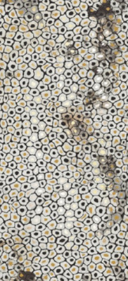 Декор THE ROOM JAGUAR6 260LP (PAT WH6 260 LP) (178711) 120x260 от Imola Ceramica (Италия) в Москве