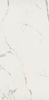 Керамогранит ALBATROS Floor BASE ALBATROS Rektifiye Parlak Nano 60 60x120 от Kutahya (Турция) в Москве