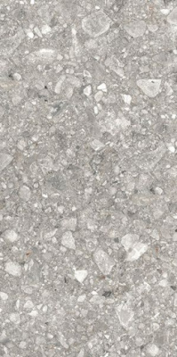Керамогранит TERRA STONE GREY Rectified LAPPATO 60x120 от Kutahya (Турция) в Москве