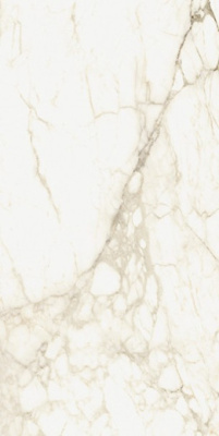 Керамогранит Микеланджело Ворм Рет (610010002745) 60x120 от ColiseumGres (Россия) в Москве