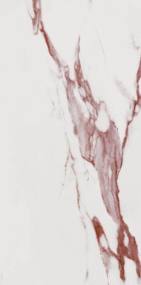 Керамогранит NUSA SATIN 60x120 от Dune (Испания) в Москве