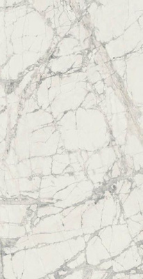 Керамогранит PREXIOUS MOUN TREASU 6MM MAT RET (756295) 120x240 от REX Ceramiche (Италия) в Москве