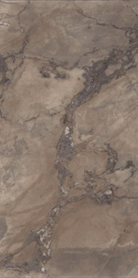 Керамогранит EPOQUE BROWN RET (PF60004405) 60x120 от Ariana (Италия) в Москве