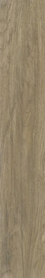Керамогранит Wood Honey mat (NTT92313M) 20x120 от NT Ceramic (Китай) в Москве