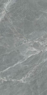 Керамогранит BZ-10012 Grey Glossy 120x60 от Bluezone (Индия) в Москве
