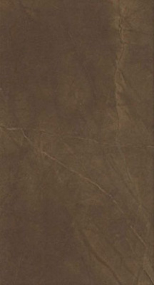 Плитка Marvel Bronze Luxury 9P5O 30.5x56 от Atlas Concorde (Италия) в Москве