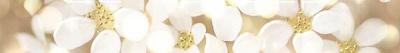 Бордюр Elfin (C-EF1J011DT) 8x60 от Cersanit (Россия) в Москве