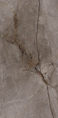 Керамогранит BIEN0016 Bien Root Ash Rec Full Lap 60x120x9 от Bien (Турция) в Москве