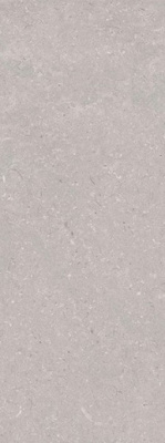 Керамогранит Coral Acero (100330286) 45x120 от Porcelanosa (Испания) в Москве