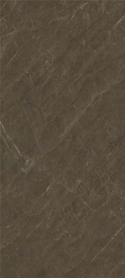 Керамогранит Pisa Grey Polished (6 мм) (MN313CP261206) 120x260 от Moreroom (Китай) в Москве