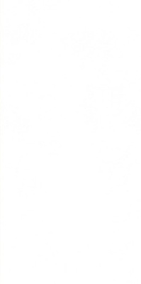 Керамогранит Morandi Zero-M (Art##0007359) 90x180 от Nanogress (Китай) в Москве