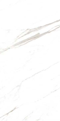 Керамогранит Eco Marble Super Satvario 120x60 от Artcer (Индия) в Москве