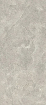 Керамогранит Platinum Leica Silk (6 мм) (MN226AR321606) 160x320 от Moreroom (Китай) в Москве