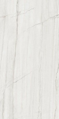 Керамогранит NOBILE MONTBLANC RET (PF60006903) 60x120 от Ariana (Италия) в Москве