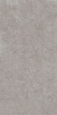 Керамогранит Про Лаймстоун АТ серый натуральный обрезной (DD590600R) 119.5x238.5 от Kerama Marazzi (Россия) в Москве