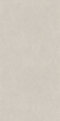 Керамогранит Джиминьяно серый светлый матовый обрезной (DD519220R) 60x119.5x0.9 от Kerama Marazzi (Россия) в Москве