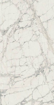 Керамогранит PREXIOUS MOUN TREASU 6MM GLO RET (756425) 160x320 от REX Ceramiche (Италия) в Москве