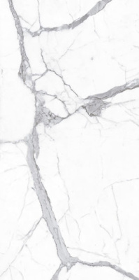 Керамогранит ARTSLAB Alps Statuario 120x240 от Artcer (Индия) в Москве