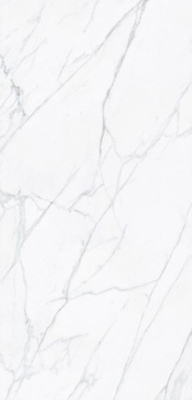 Керамогранит VARENNA CARRARA PUL. (6mm) (полированная) 120x260 от TAU Ceramica (Испания) в Москве