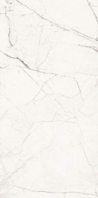 Керамогранит THE ROOM STATUARIO VENA PICCOLA Lap. Ret. (Sta VP6 12LP) 60x120 от Imola Ceramica (Италия) в Москве
