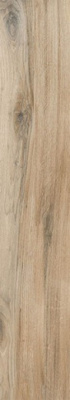 Керамогранит ASTON PINE 20x120x0.9 от Gravita (Индия) в Москве