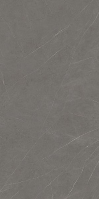 Керамогранит Xlight Premium Liem Grey Polished (C229801491) 120x250 от XLight (Испания) в Москве