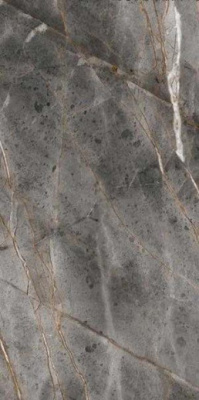 Керамогранит Python Rock Dark 60x120 от Velsaa (Индия) в Москве