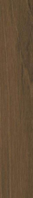 Бордюр Liston Belice-R Noce 10x59.3 от Vives Ceramica (Испания) в Москве